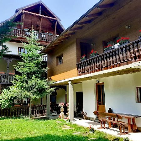Pensiunea Perla Maramuresului Borşa Esterno foto