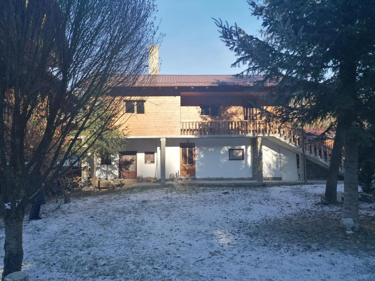 Pensiunea Perla Maramuresului Borşa Esterno foto
