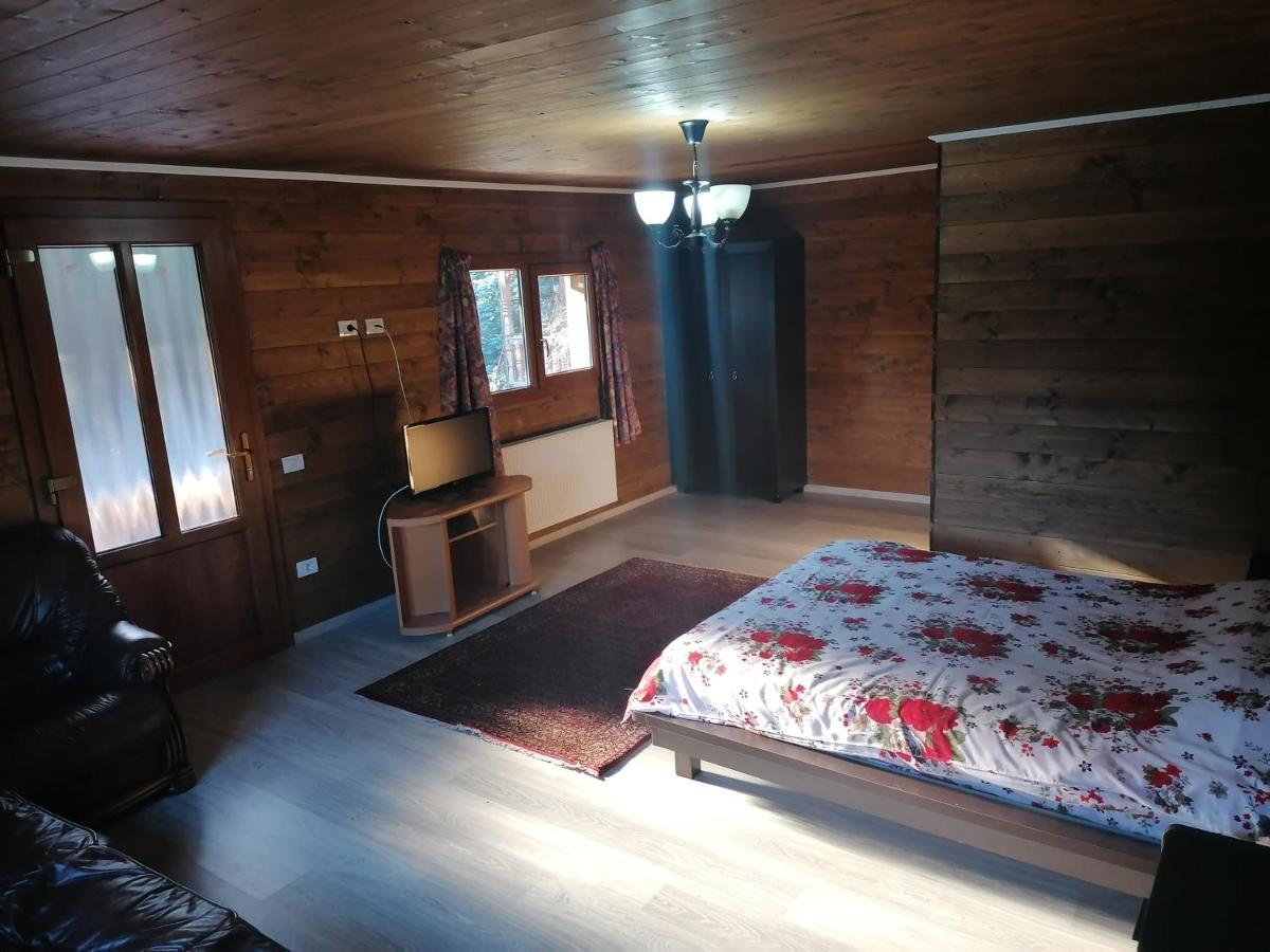 Pensiunea Perla Maramuresului Borşa Esterno foto