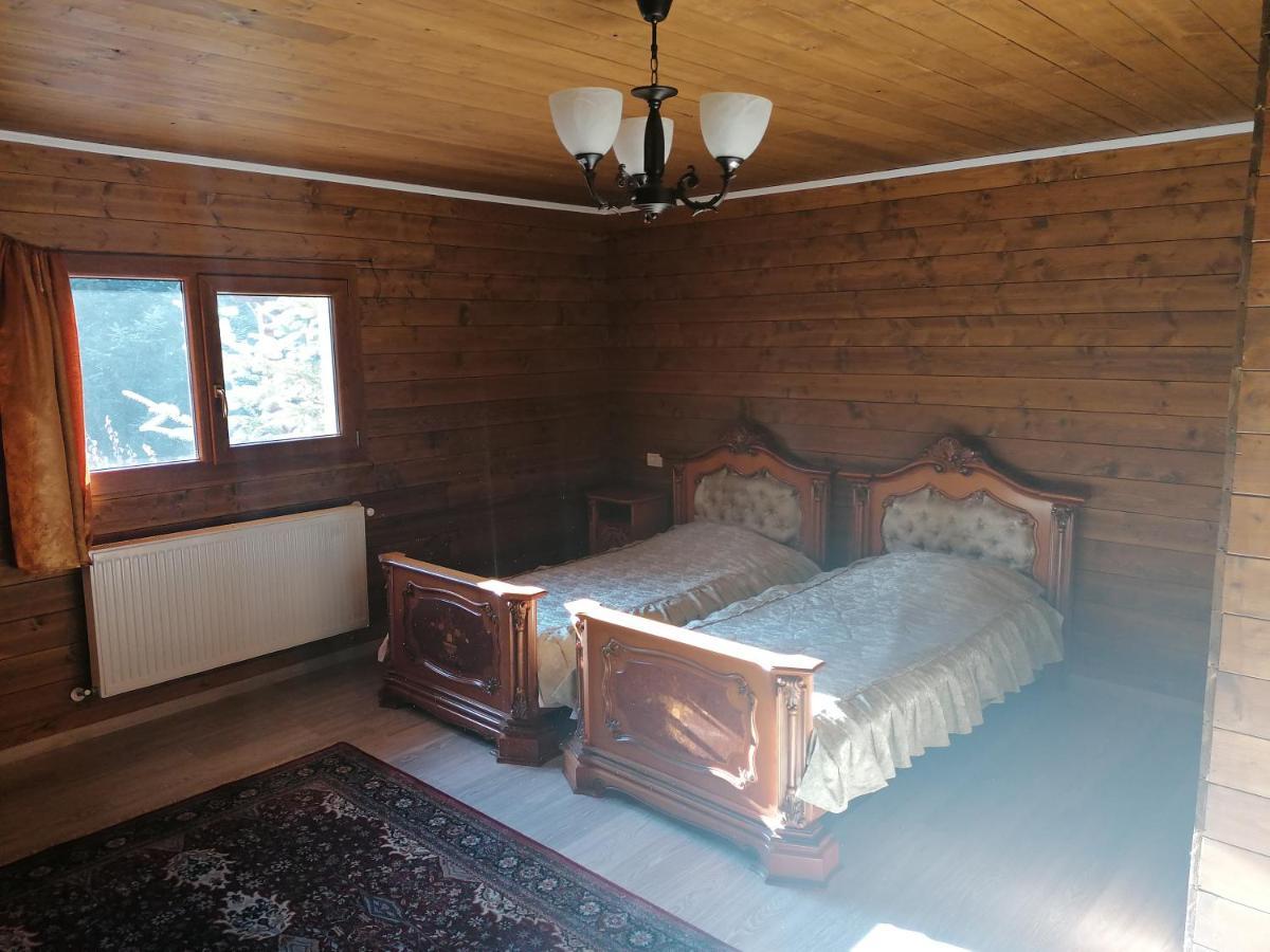 Pensiunea Perla Maramuresului Borşa Esterno foto