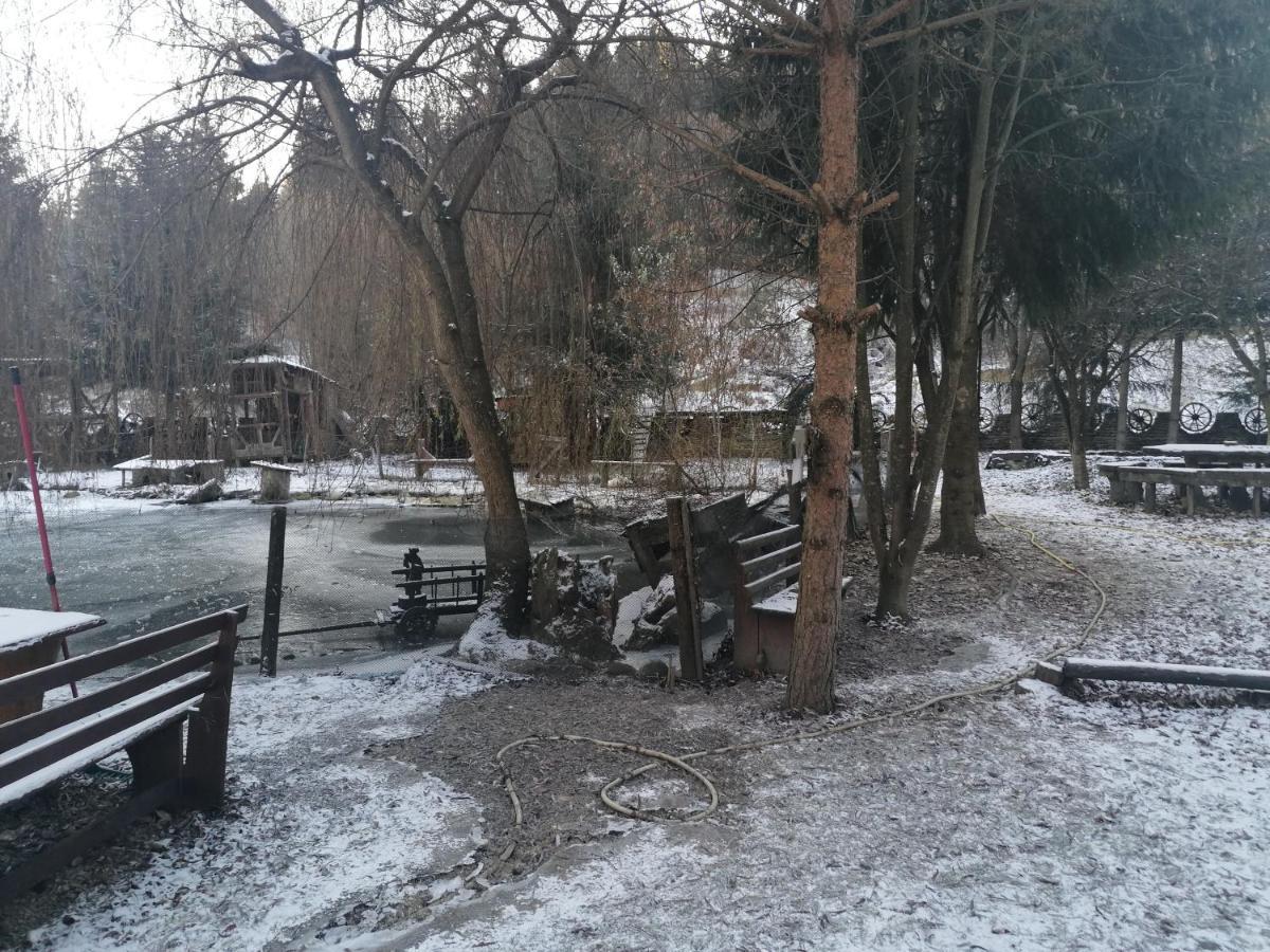 Pensiunea Perla Maramuresului Borşa Esterno foto