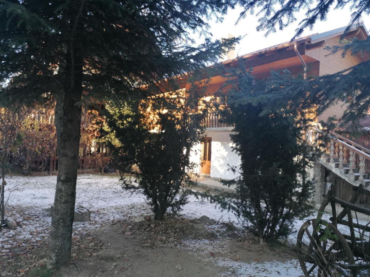 Pensiunea Perla Maramuresului Borşa Esterno foto