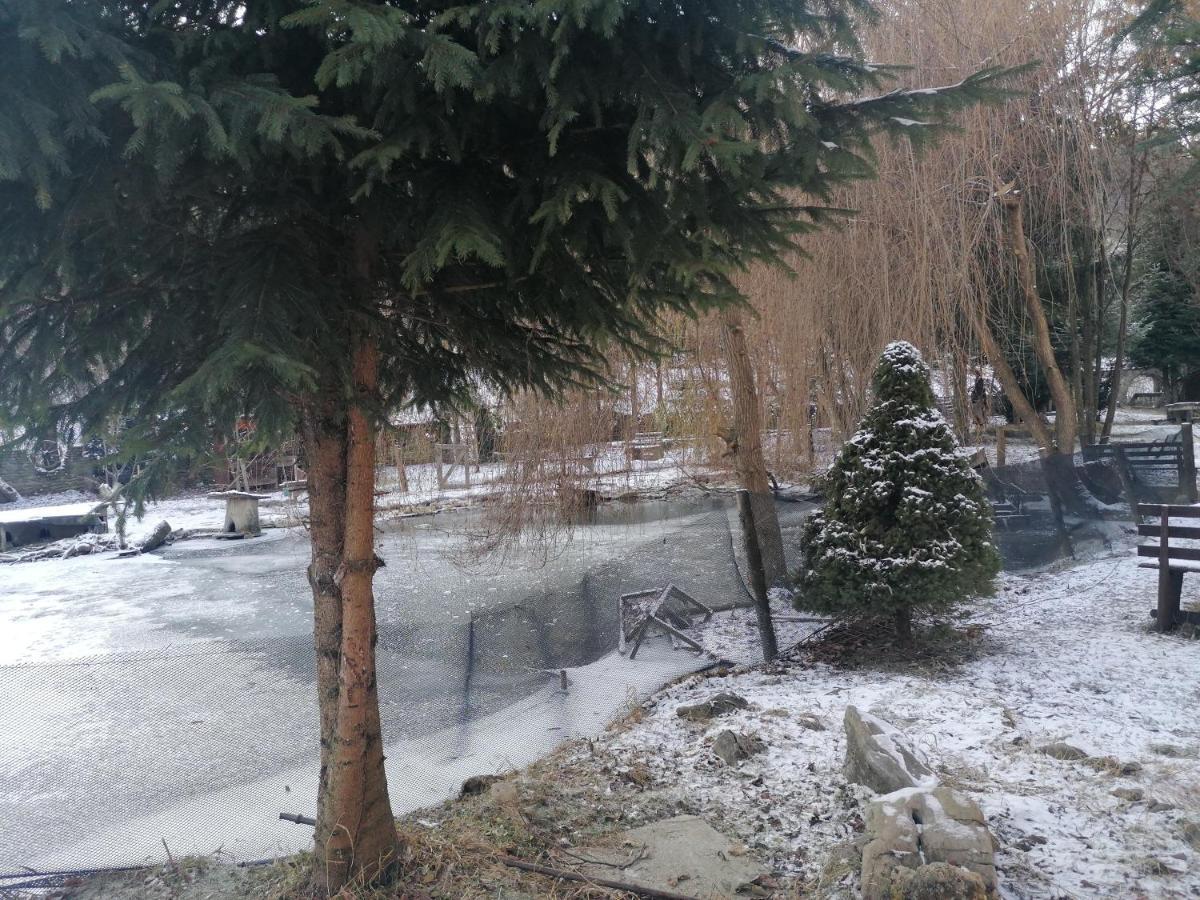 Pensiunea Perla Maramuresului Borşa Esterno foto