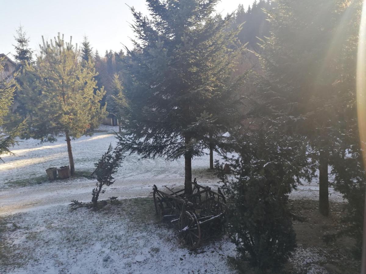 Pensiunea Perla Maramuresului Borşa Esterno foto