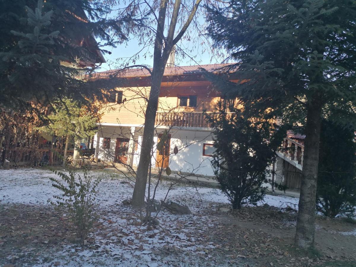 Pensiunea Perla Maramuresului Borşa Esterno foto