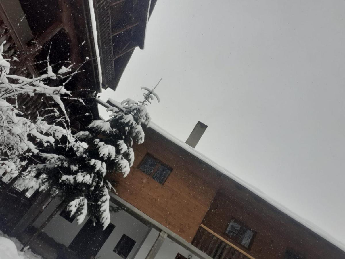 Pensiunea Perla Maramuresului Borşa Esterno foto
