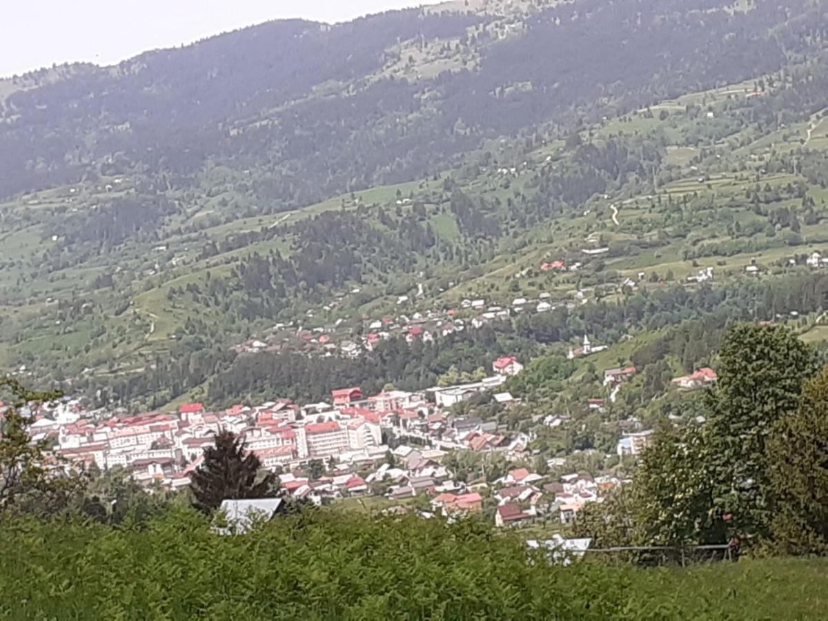 Pensiunea Perla Maramuresului Borşa Esterno foto