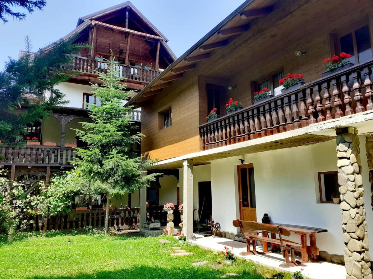 Pensiunea Perla Maramuresului Borşa Esterno foto