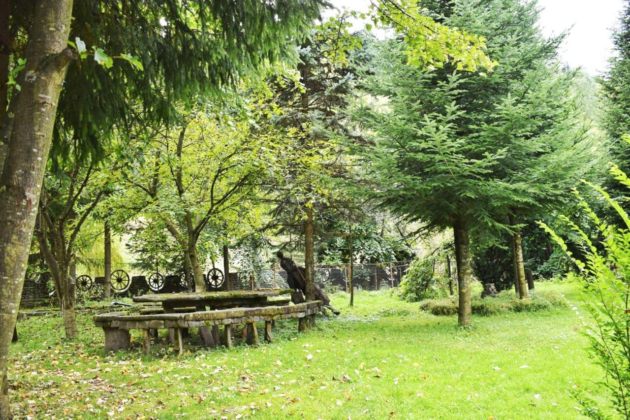 Pensiunea Perla Maramuresului Borşa Esterno foto