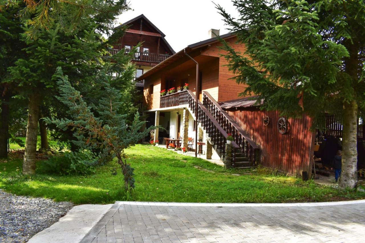 Pensiunea Perla Maramuresului Borşa Esterno foto