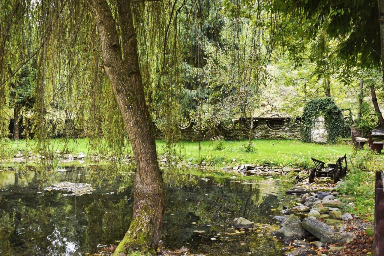 Pensiunea Perla Maramuresului Borşa Esterno foto