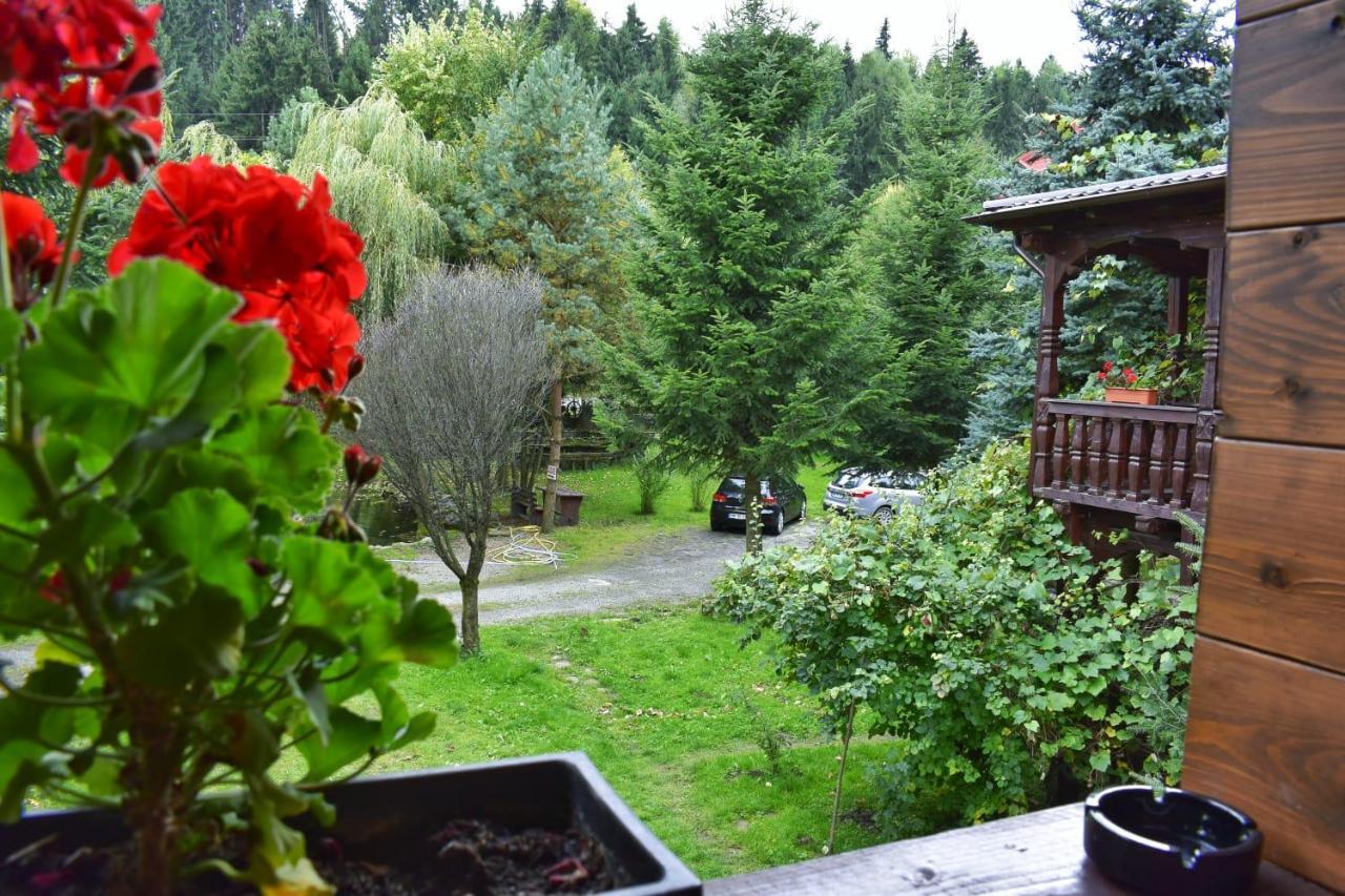 Pensiunea Perla Maramuresului Borşa Esterno foto