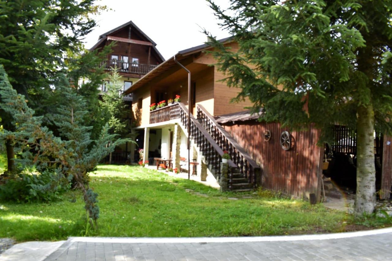 Pensiunea Perla Maramuresului Borşa Esterno foto