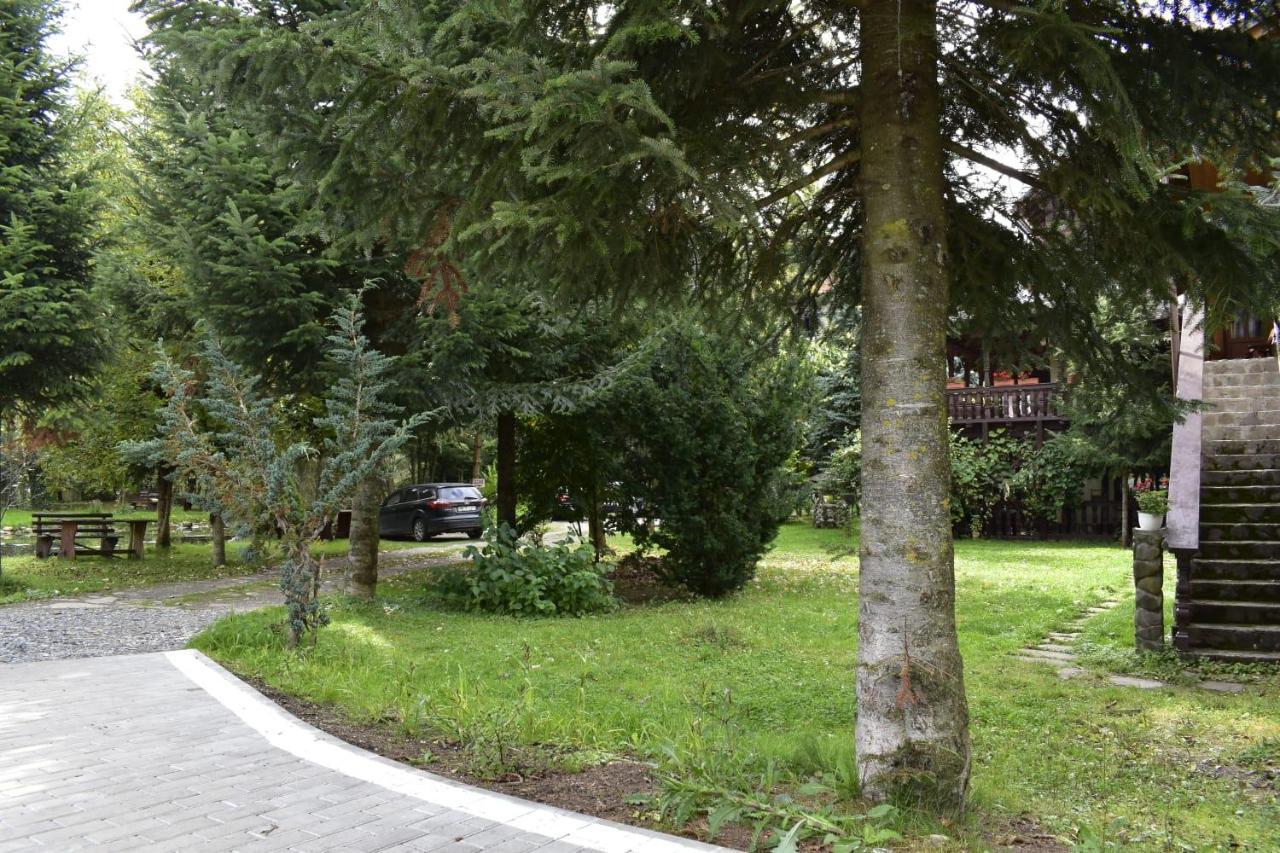 Pensiunea Perla Maramuresului Borşa Esterno foto