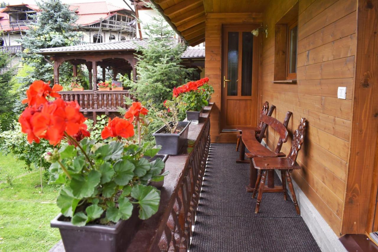 Pensiunea Perla Maramuresului Borşa Esterno foto