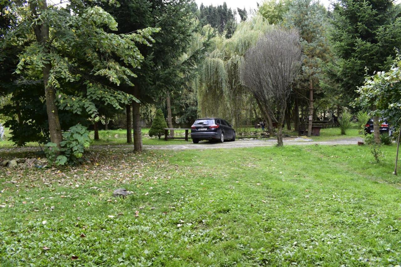 Pensiunea Perla Maramuresului Borşa Esterno foto