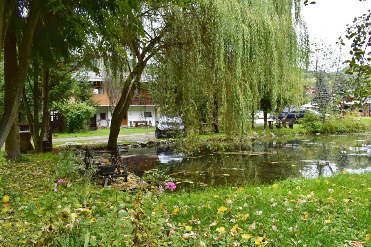 Pensiunea Perla Maramuresului Borşa Esterno foto