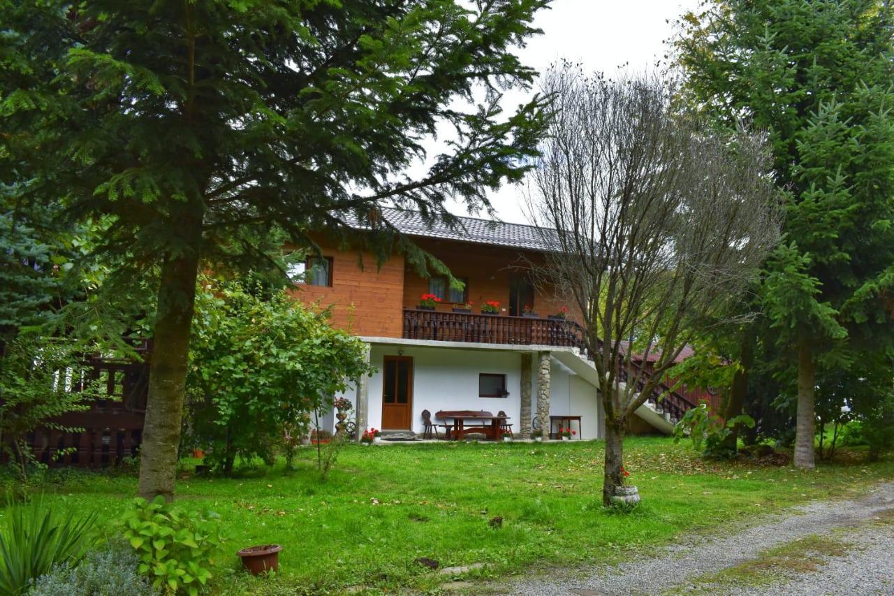 Pensiunea Perla Maramuresului Borşa Esterno foto