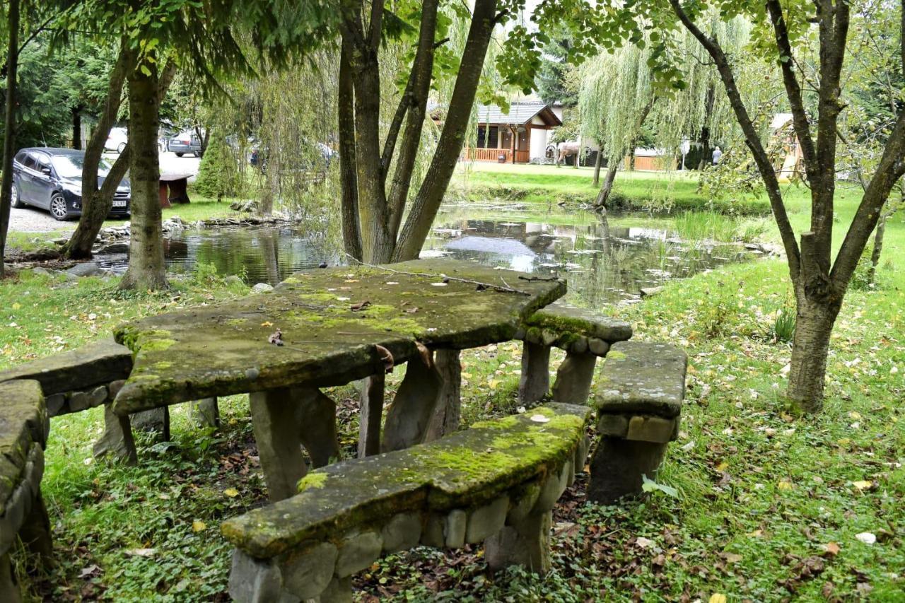 Pensiunea Perla Maramuresului Borşa Esterno foto